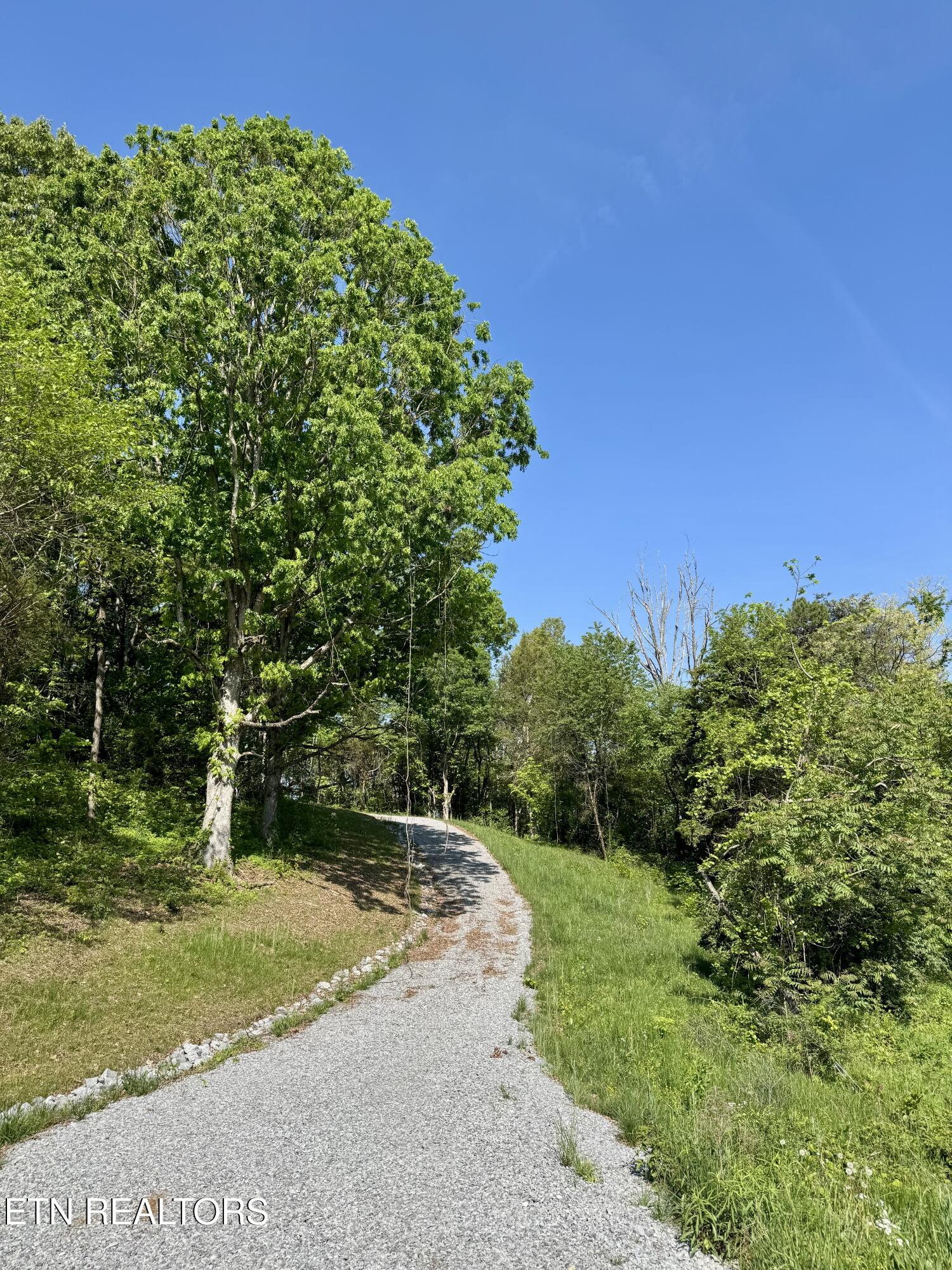 Carroll Road Morristown, TN 37813 - Photo 2 of 11 IMG_2857