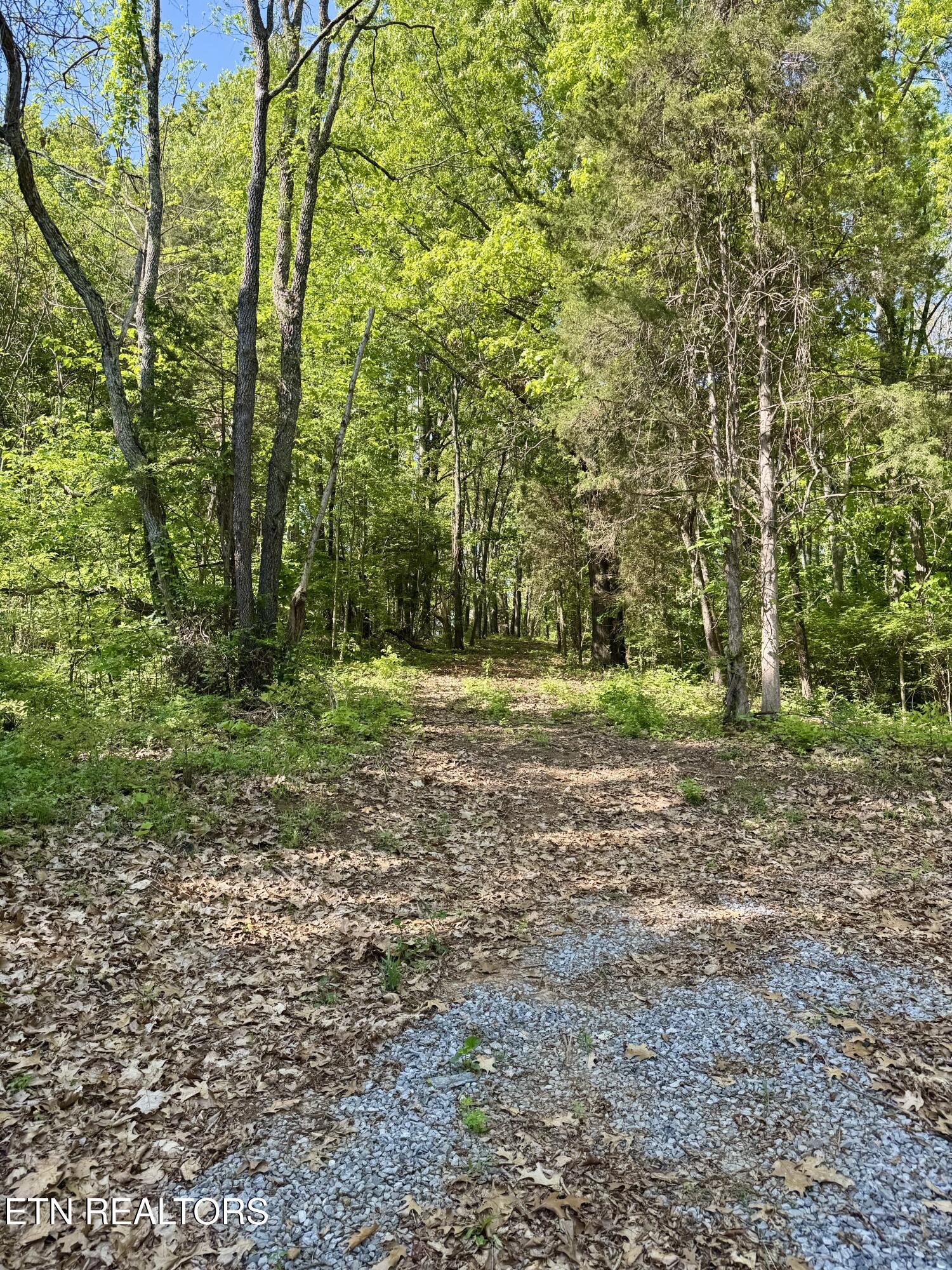Carroll Road Morristown, TN 37813 - Photo 3 of 11 IMG_2859