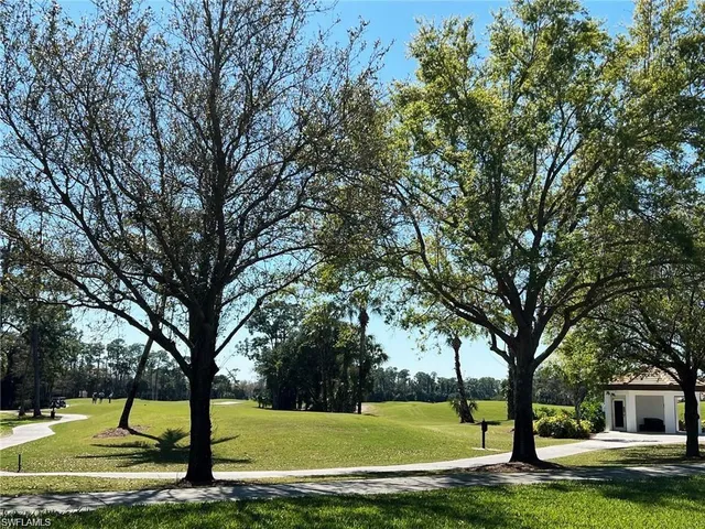 a view of a yard with a large tree