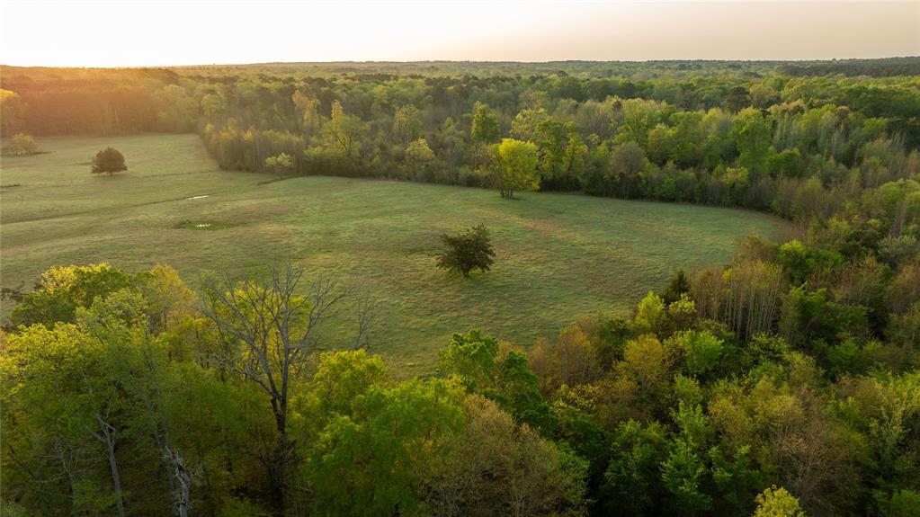 1441 Coffeeville Road Jefferson, TX 75657 - Photo 26 of 40