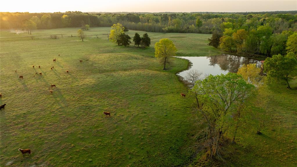 1441 Coffeeville Road Jefferson, TX 75657 - Photo 27 of 40
