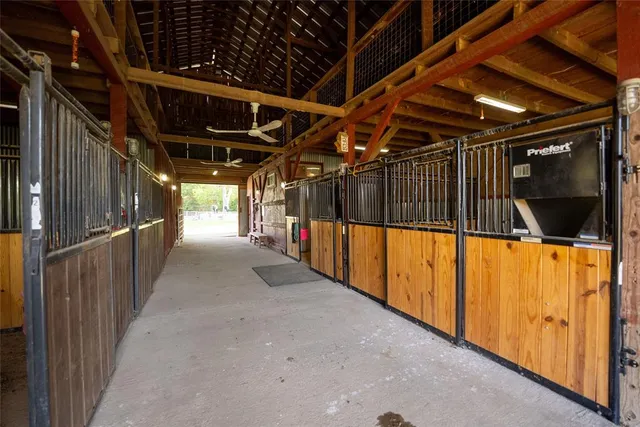 a view of backyard with green space