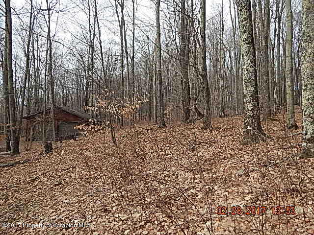 473 Stearns Road Susquehanna, PA 18847 - Photo 38 of 40 Gallery Image 38