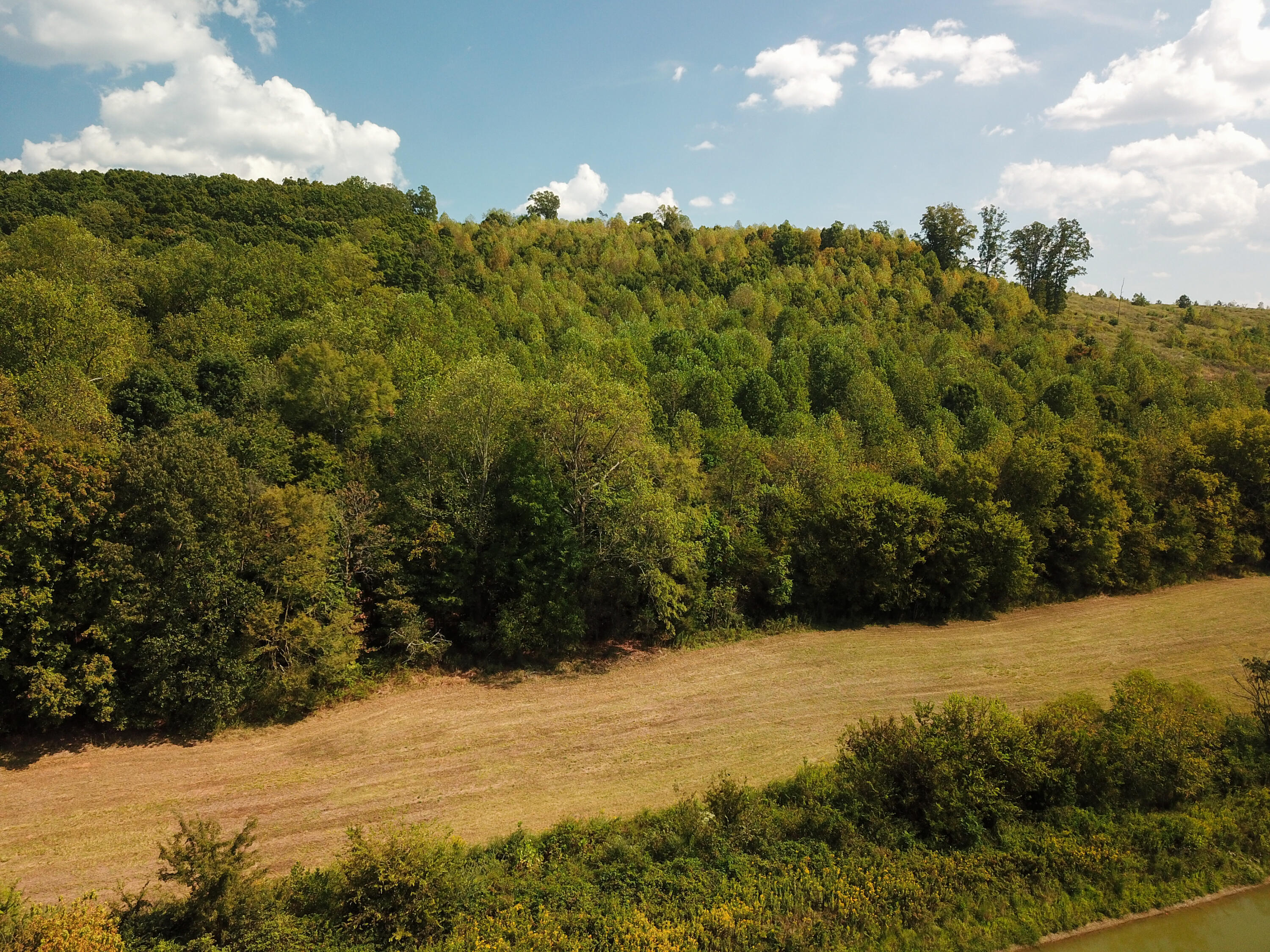 0 Lead Mine Valley Road Southwest Cleveland, TN 37311 - Photo 10 of 21 DJI_0029