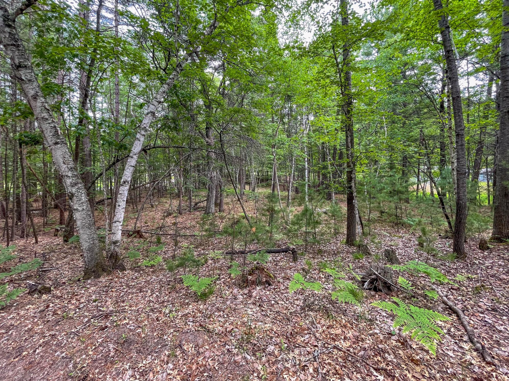 1-ac Bass Lake Loop Rhinelander, WI 54501 - Photo 11 of 16 Gallery Image 11