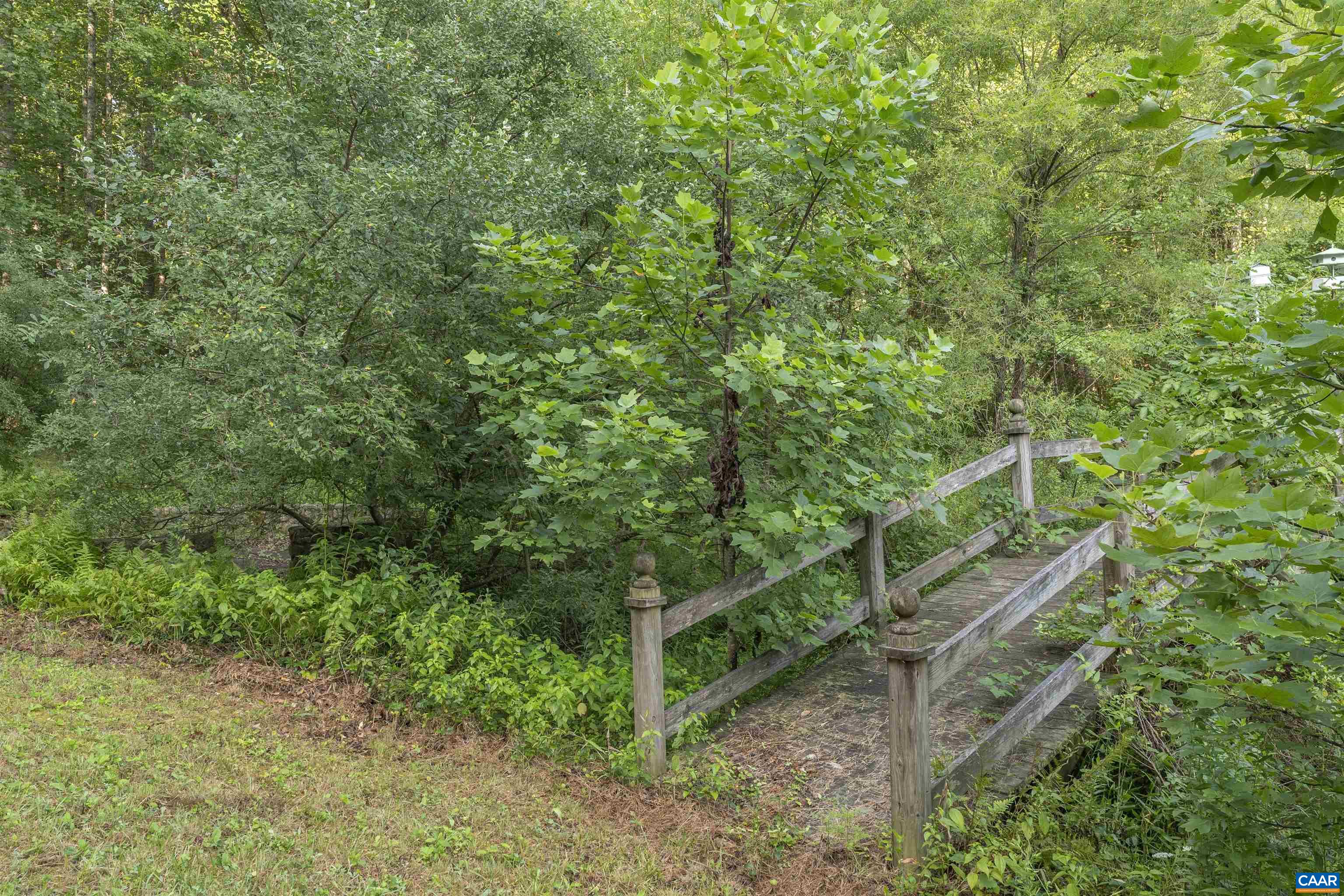 2599 Oak Park Road Madison, VA 22727 - Photo 2 of 43 a green field with lots of trees in it