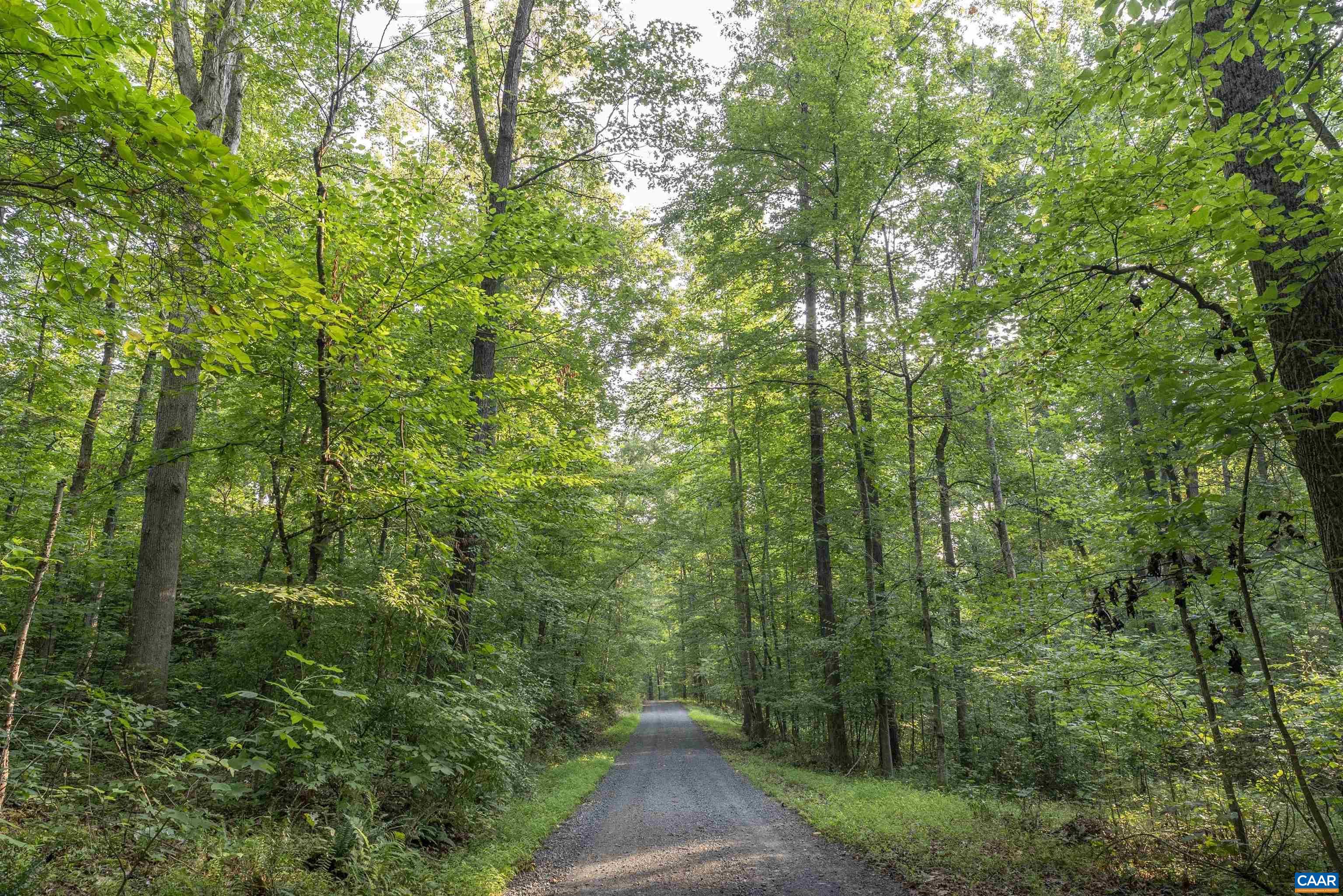 2599 Oak Park Road Madison, VA 22727 - Photo 24 of 43 a view of a street with a trees
