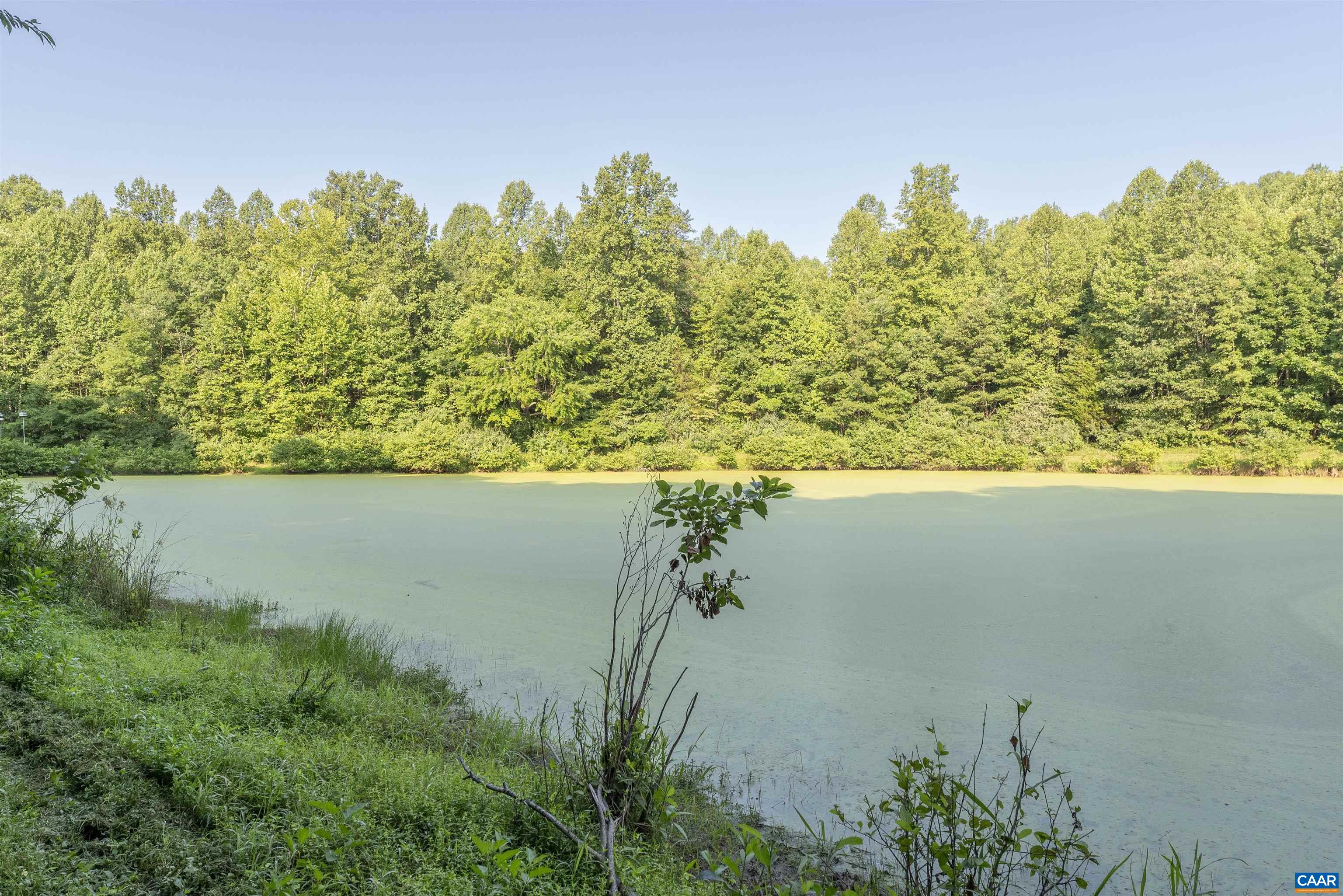 2599 Oak Park Road Madison, VA 22727 - Photo 5 of 43 a view of a lake with a yard and trees in the background