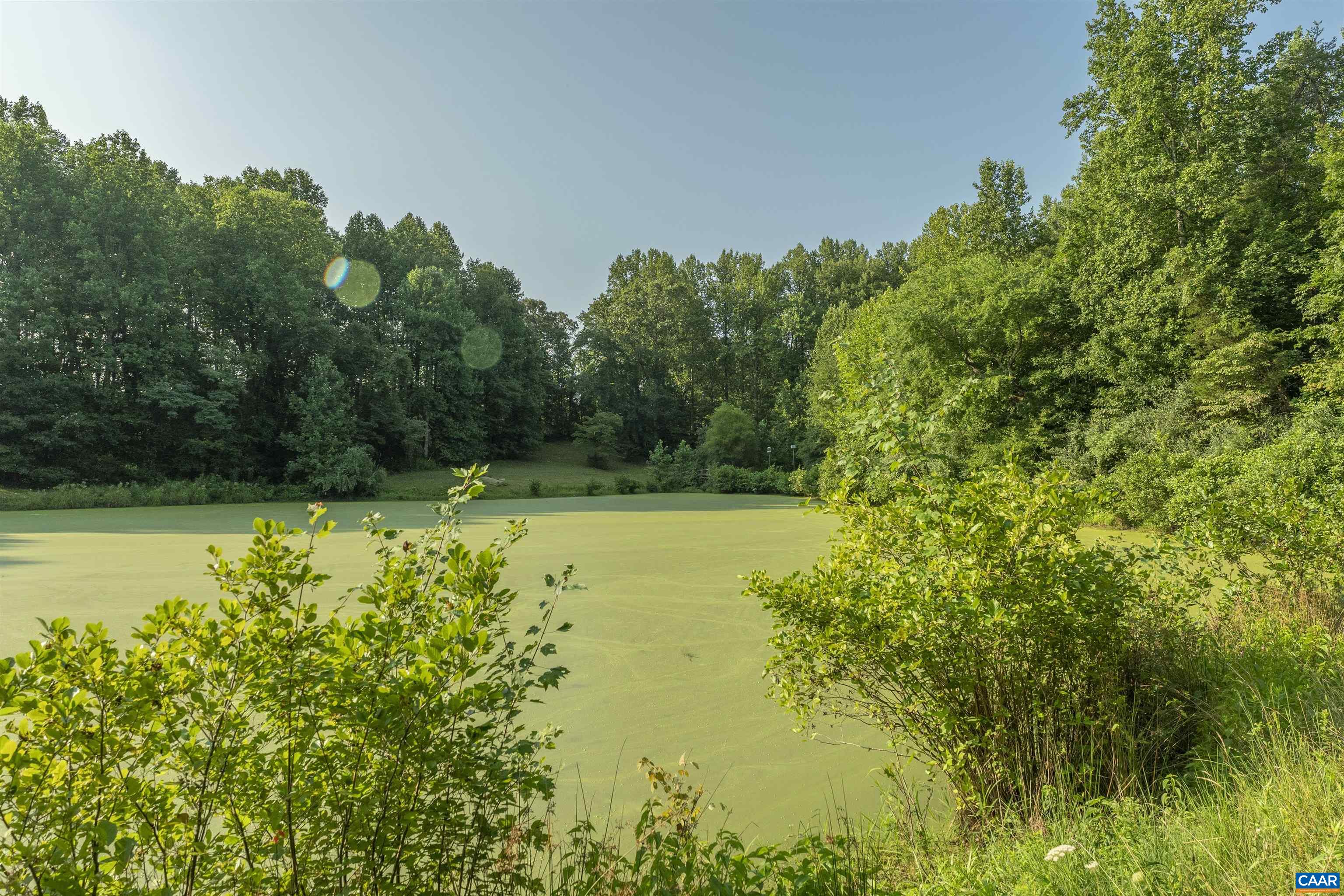 2599 Oak Park Road Madison, VA 22727 - Photo 8 of 43 a view of a lake with a yard