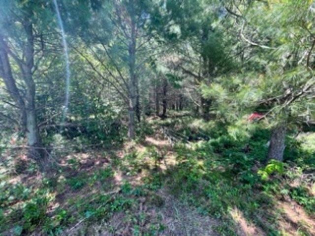 0 North Bowman Road Merritt, MI 49667 - Photo 24 of 24