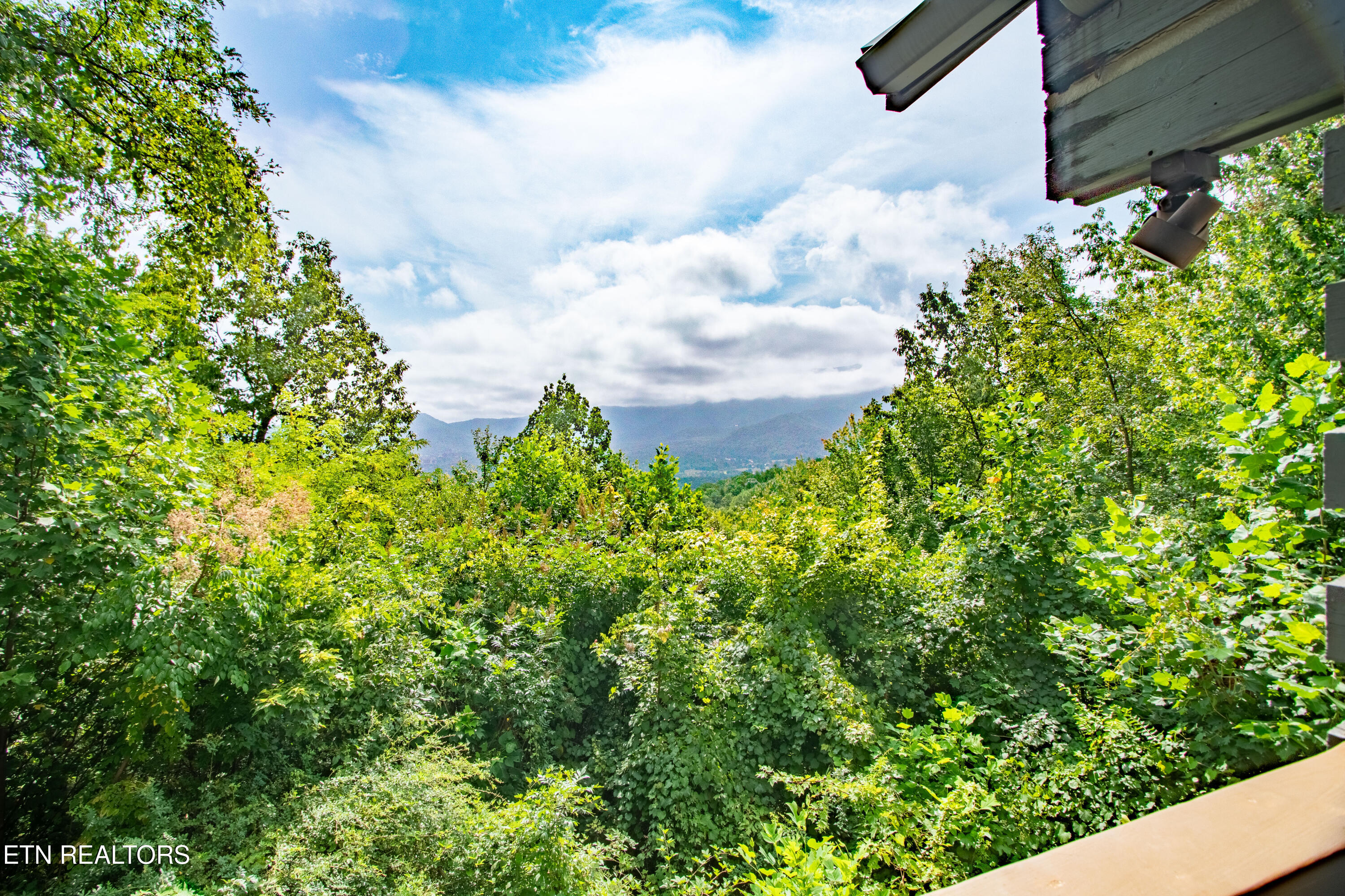 2729 Blue Springs Way Sevierville, TN 37862 - Photo 31 of 39 DSC05537-HDR