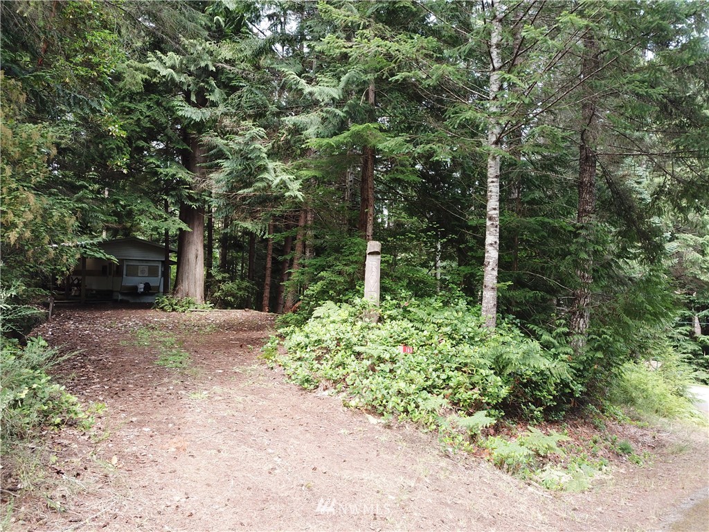 163 Point View Avenue Brinnon, WA 98320 - Photo 4 of 11 Gallery Image 4