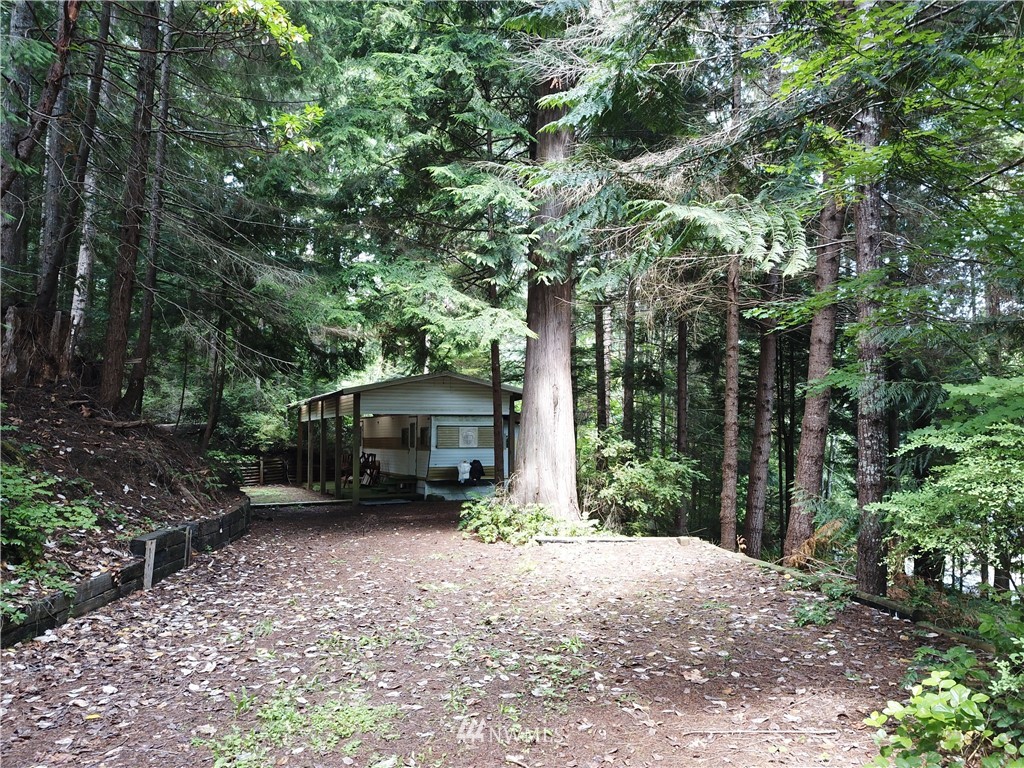 163 Point View Avenue Brinnon, WA 98320 - Photo 7 of 11 Gallery Image 7