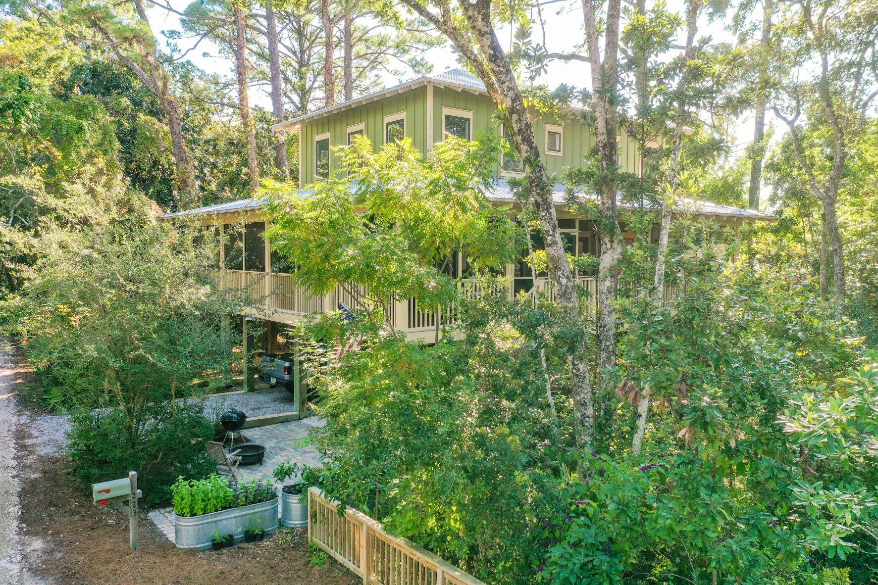 223 Grayton Trail Road Santa Rosa Beach, FL 32459 - Photo 3 of 22 a view of a garden with plants and large trees