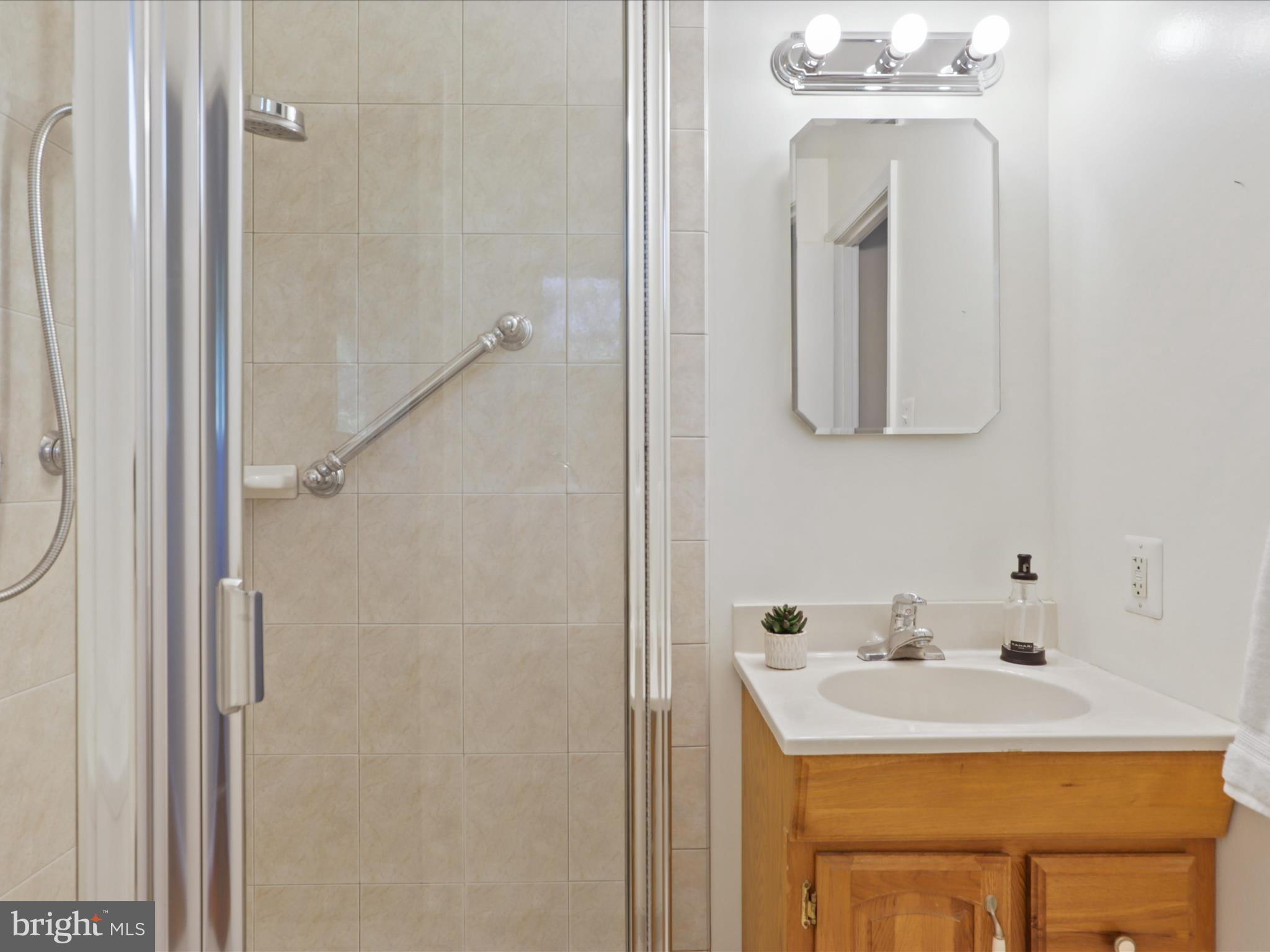 8456 Thames Street Springfield, VA 22151 - Photo 20 of 46 Primary Bath