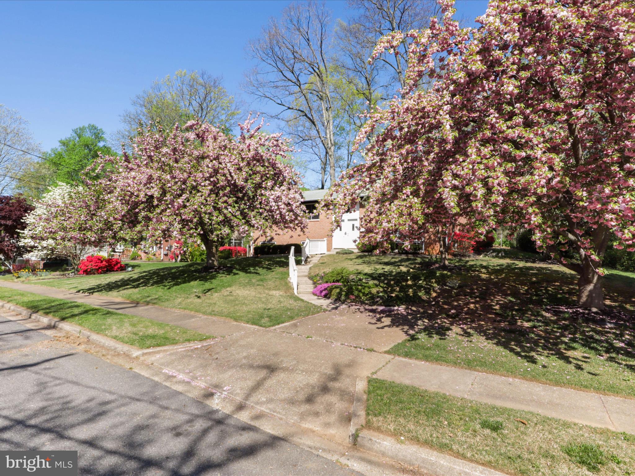 8456 Thames Street Springfield, VA 22151 - Photo 3 of 46 Front Exterior