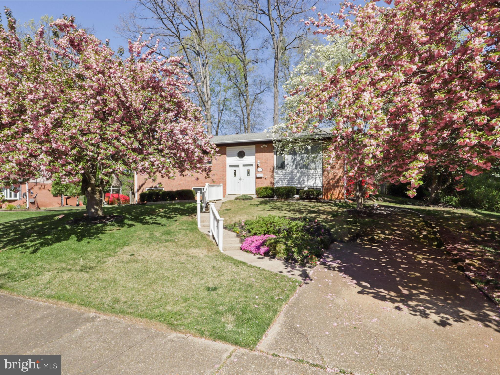 8456 Thames Street Springfield, VA 22151 - Photo 4 of 46 Front Exterior