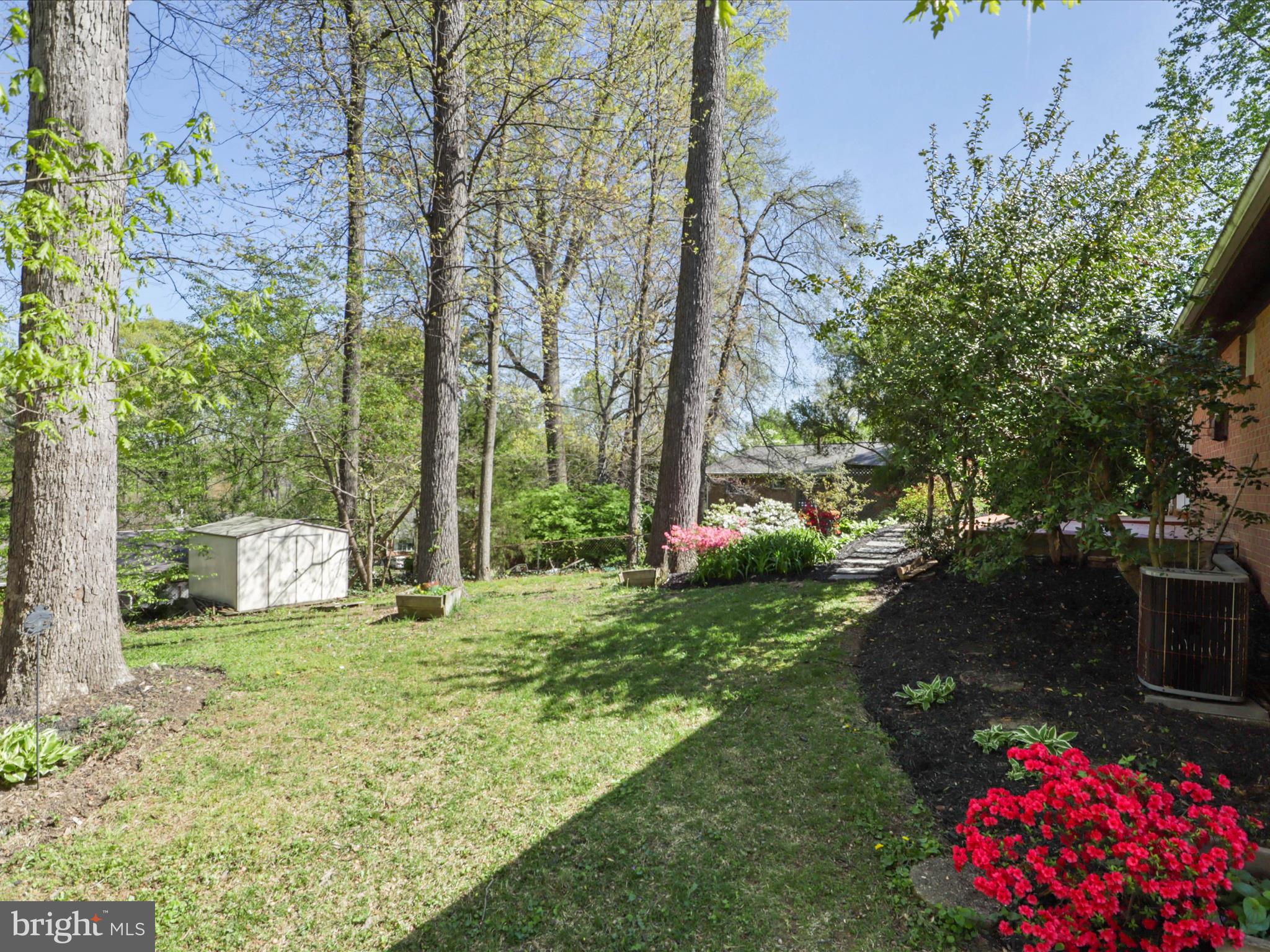 8456 Thames Street Springfield, VA 22151 - Photo 42 of 46 Backyard