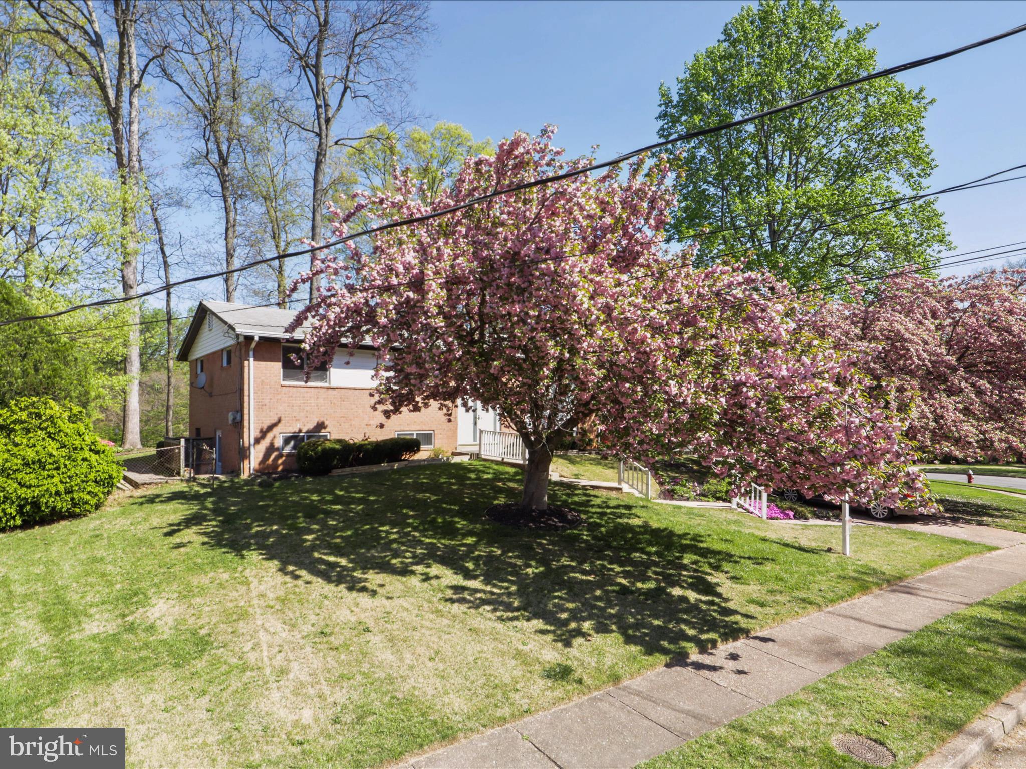 8456 Thames Street Springfield, VA 22151 - Photo 5 of 46 Front Exterior