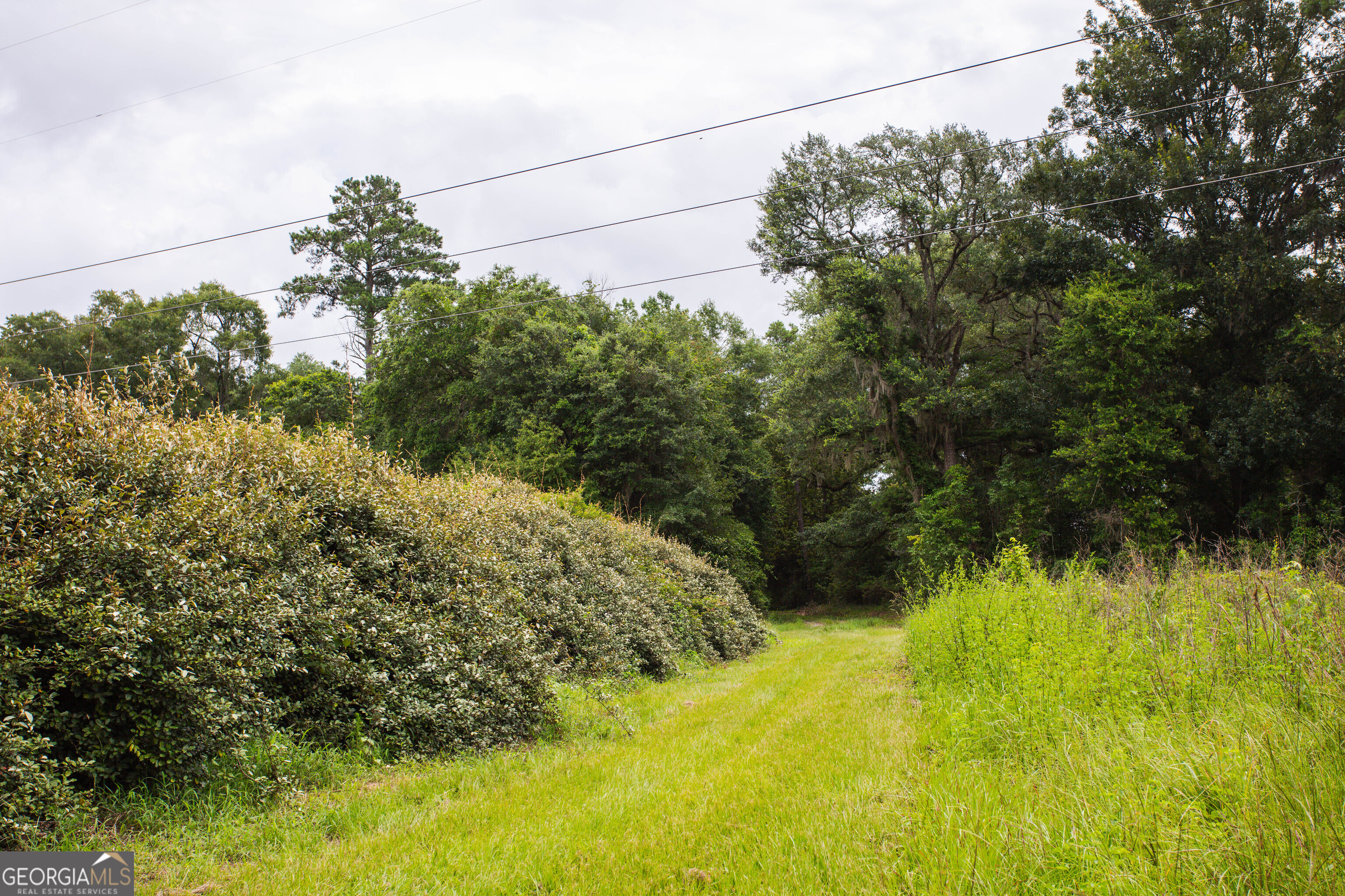 276 Mclauglin Road Bainbridge, GA 39819 - Photo 67 of 89 Gallery Image 67