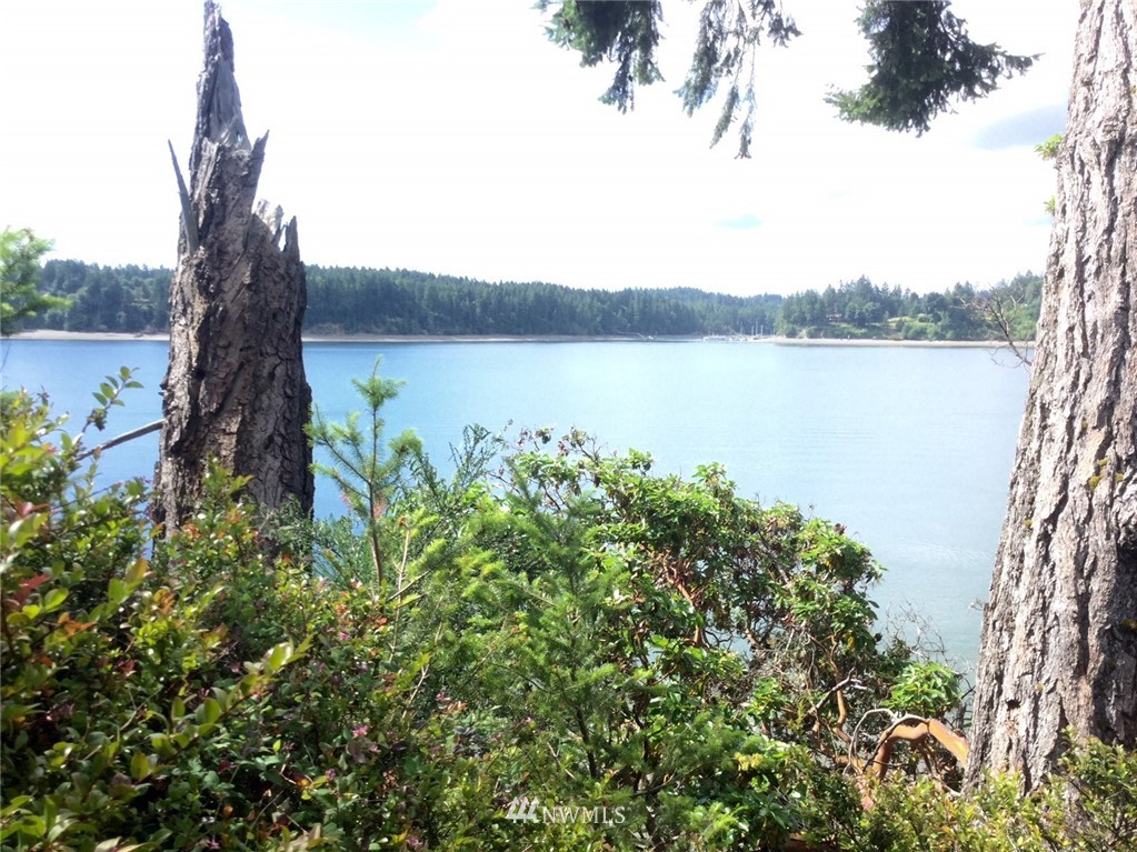20 East Robbins Road Grapeview, WA 98546 - Photo 25 of 25 Gallery Image 25
