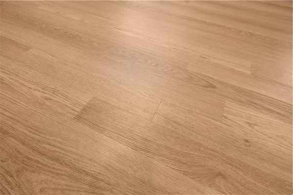 $259,900 | 9551 Outlook Drive, Overland Park, KS 66207