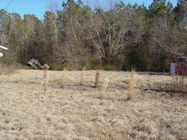 188 Farr Road Kathleen, GA 31047 - Photo 1 of 1 Gallery Image 1