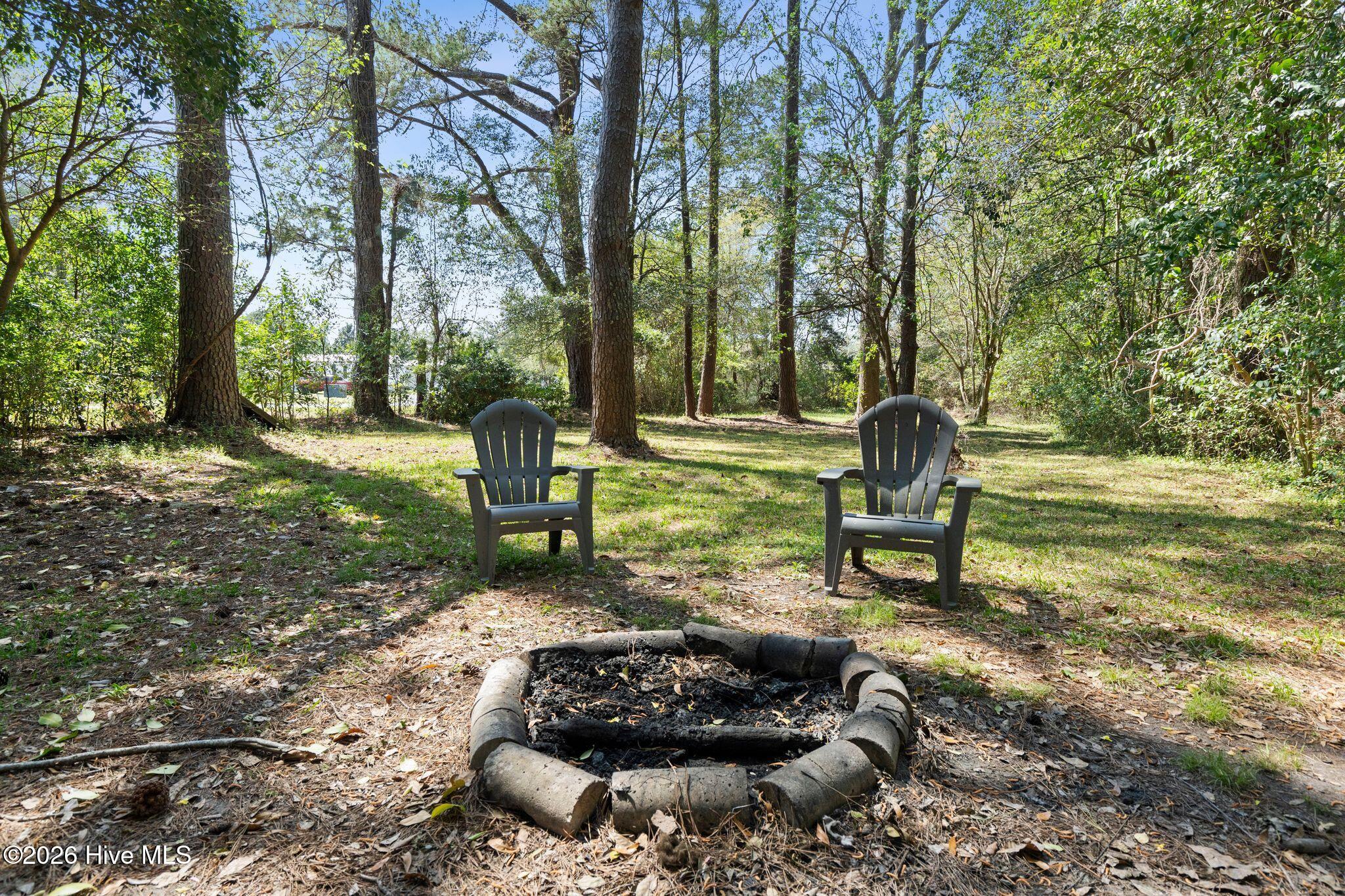 2715 Castle Hayne Road Wilmington, NC 28401 - Photo 27 of 35 Back Yard