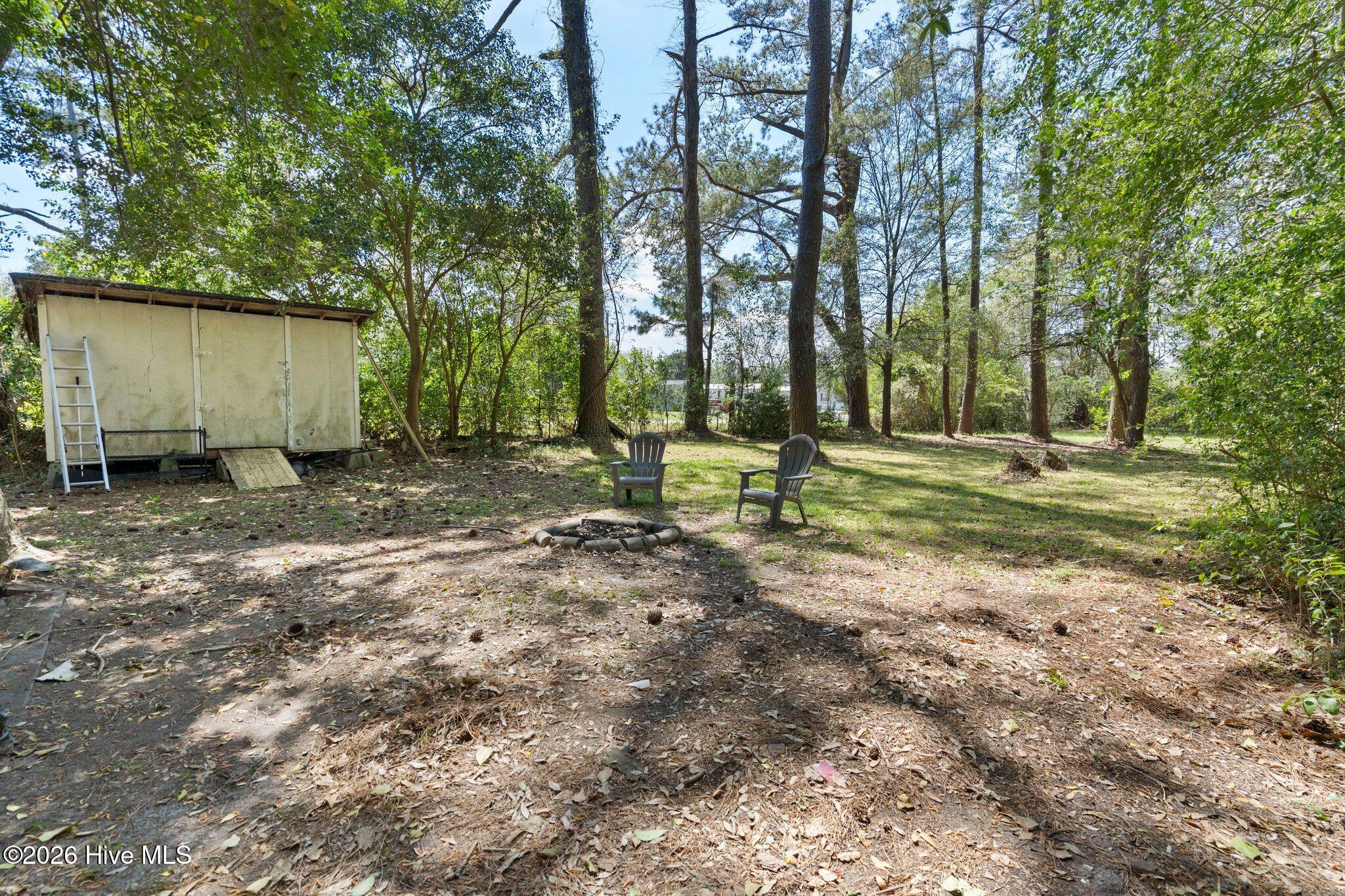2715 Castle Hayne Road Wilmington, NC 28401 - Photo 28 of 35 Back Yard & Shed