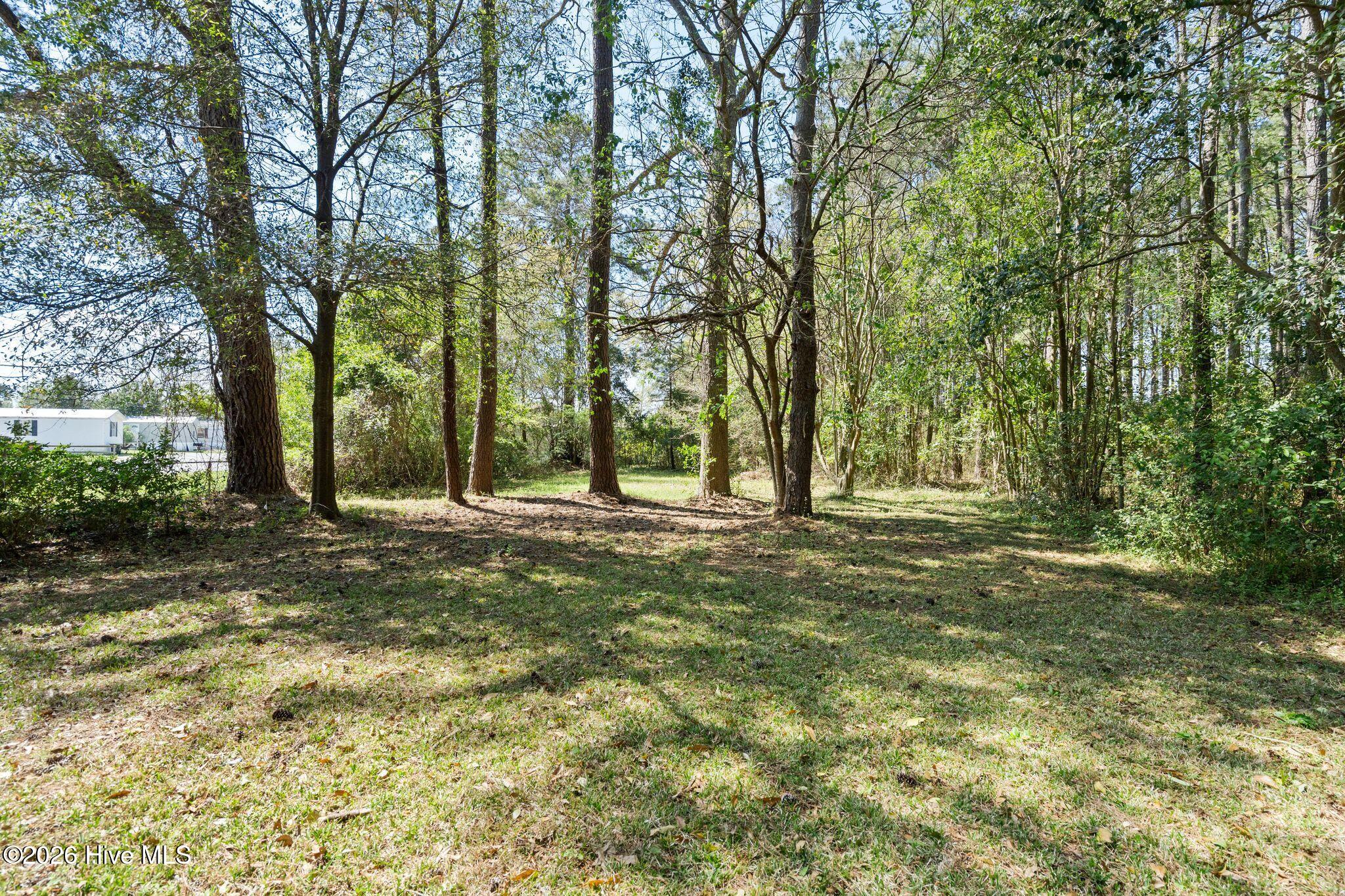 2715 Castle Hayne Road Wilmington, NC 28401 - Photo 30 of 35 Back Yard