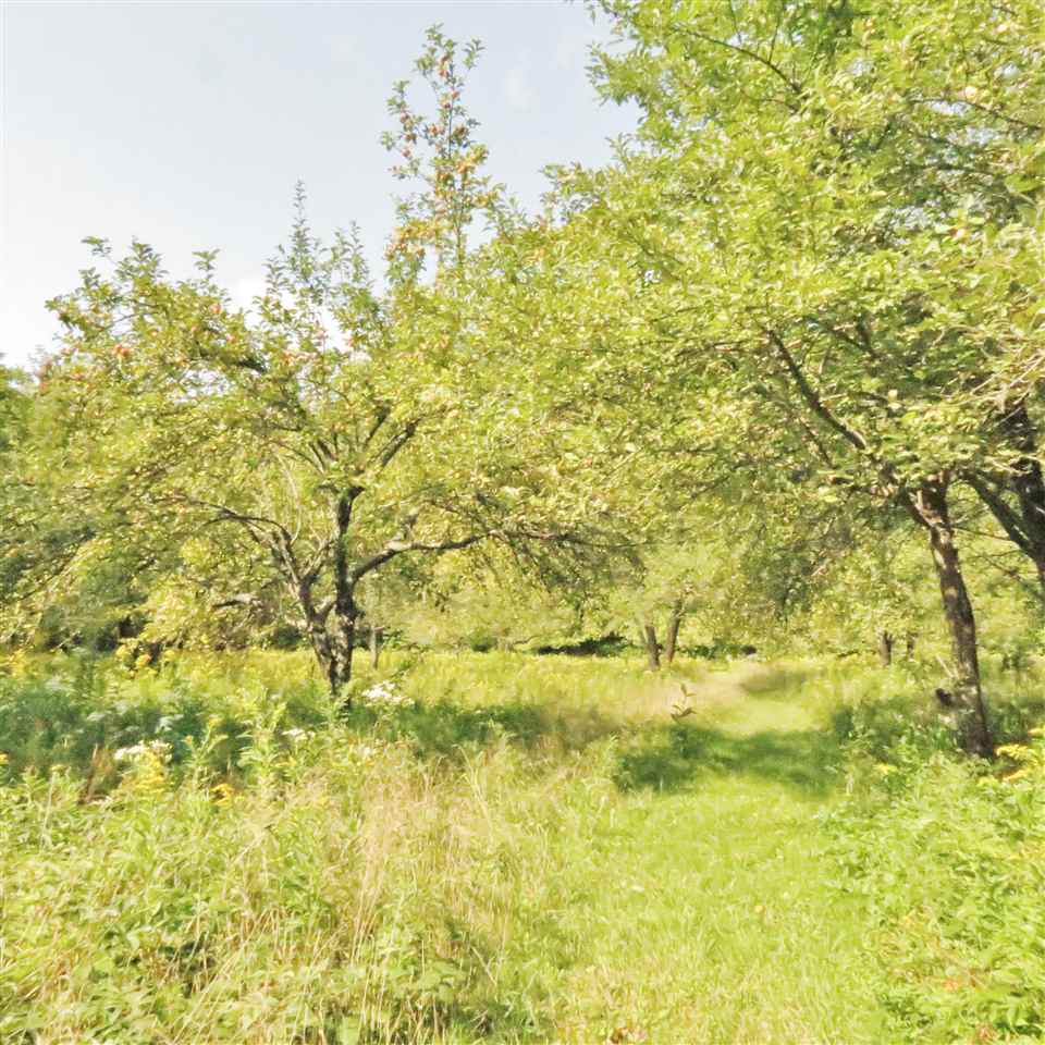 4219 East Hill Road Andover, VT 05143 - Photo 25 of 38