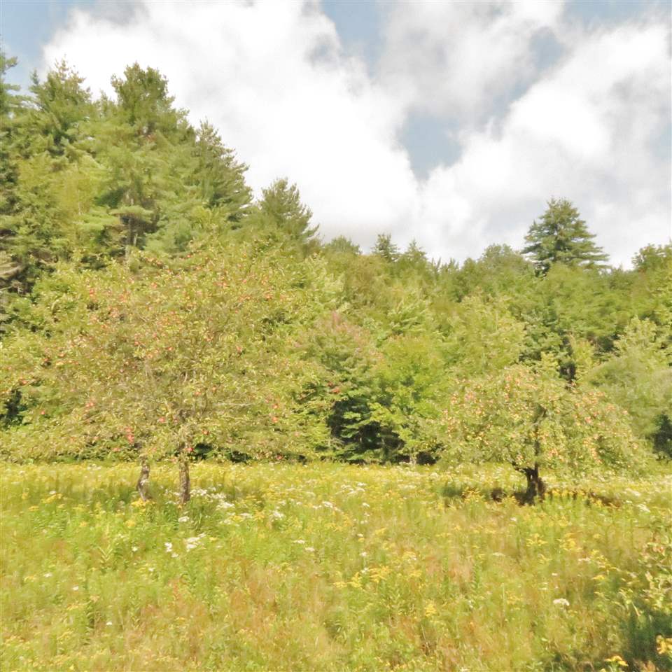4219 East Hill Road Andover, VT 05143 - Photo 29 of 38