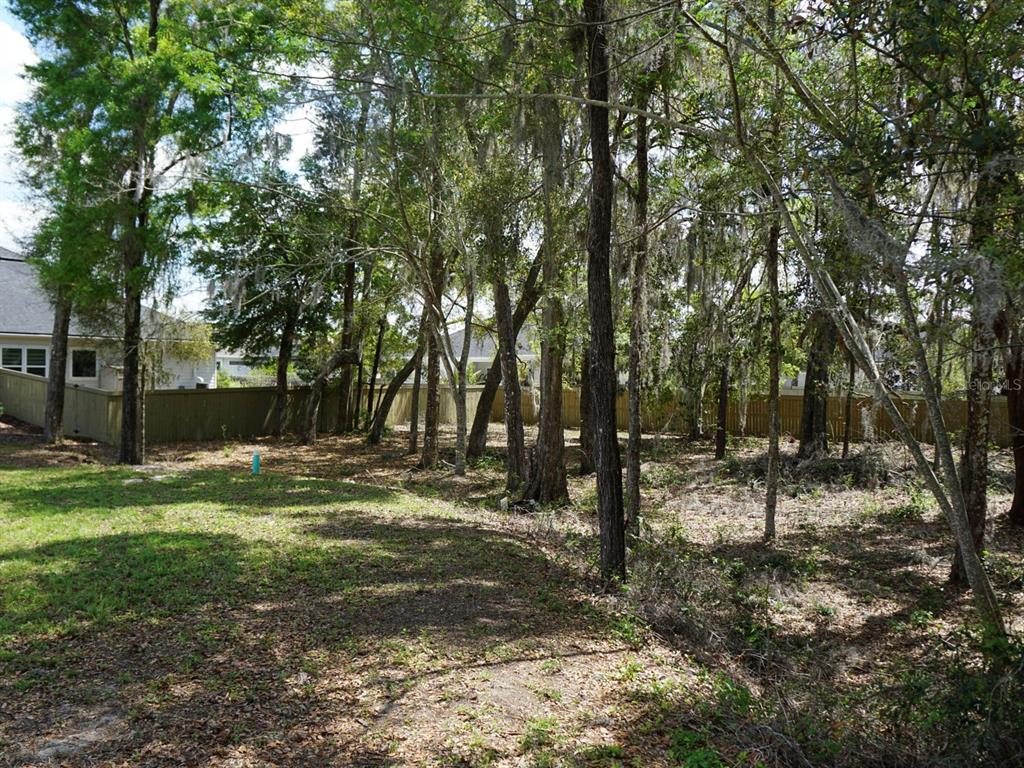 12149 Southwest 9th Lane Gainesville, FL 32607 - Photo 3 of 9