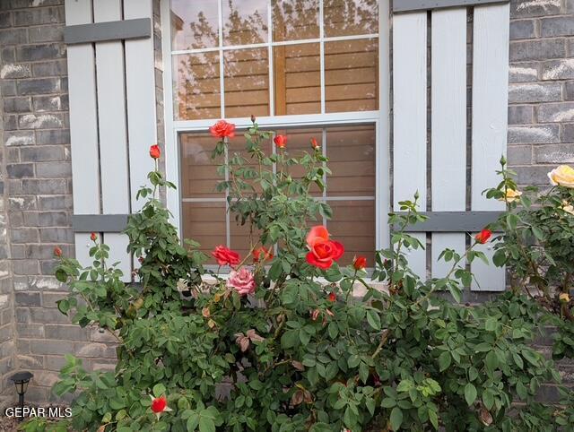 145 Libby Road Canutillo, TX 79835 - Photo 20 of 22 145 Libby Roses