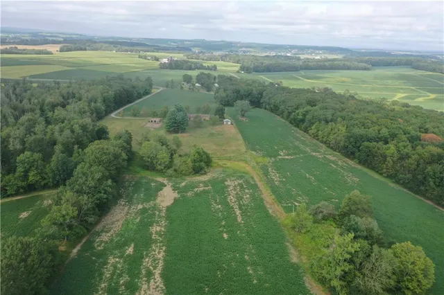 a view of a city with lush green forest