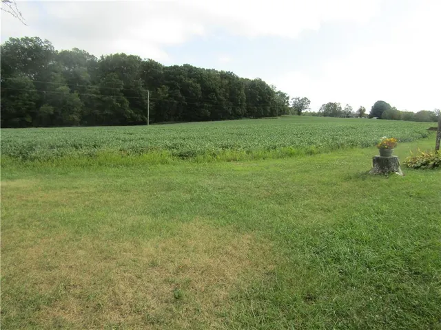 a view of outdoor space and yard