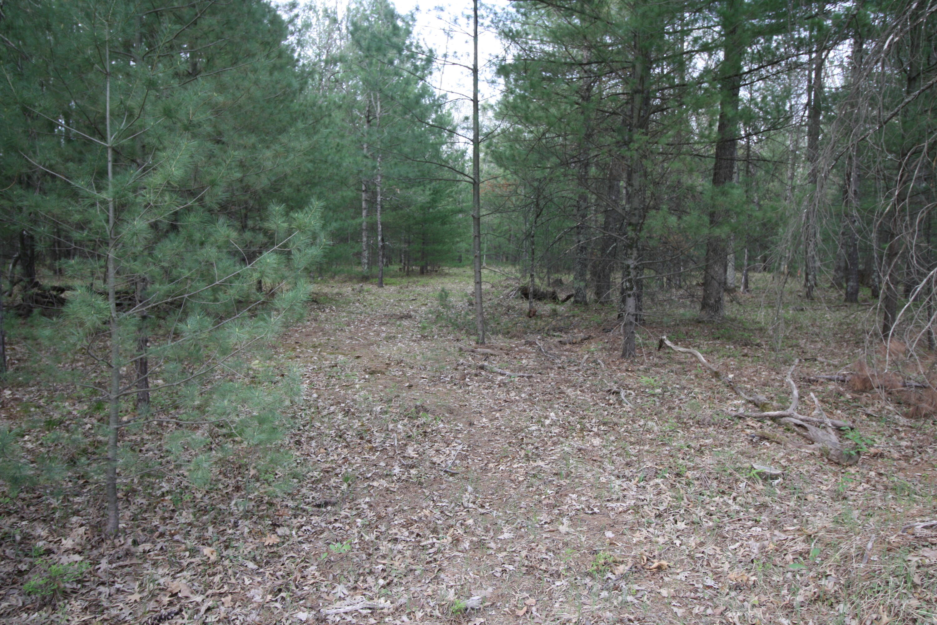 7262 Riverside Drive Manistee, MI 49660 - Photo 1 of 8 IMG_5348