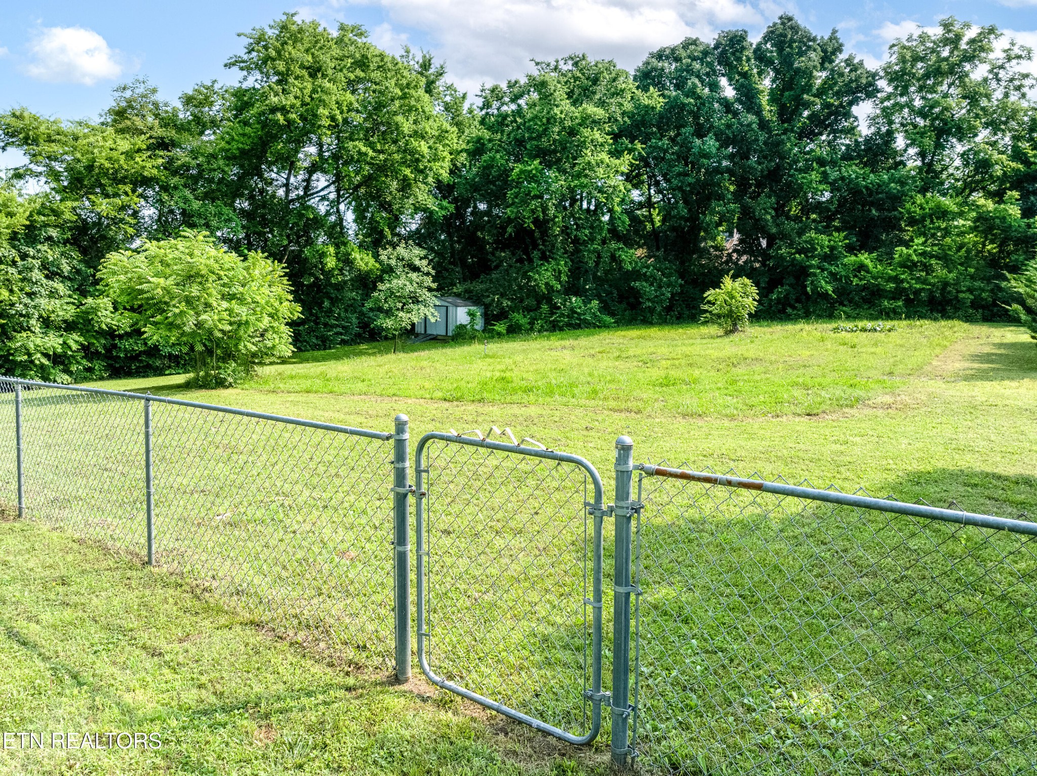 460 Lee Shirley Road Greenback, TN 37742 - Photo 24 of 29 a view of a garden