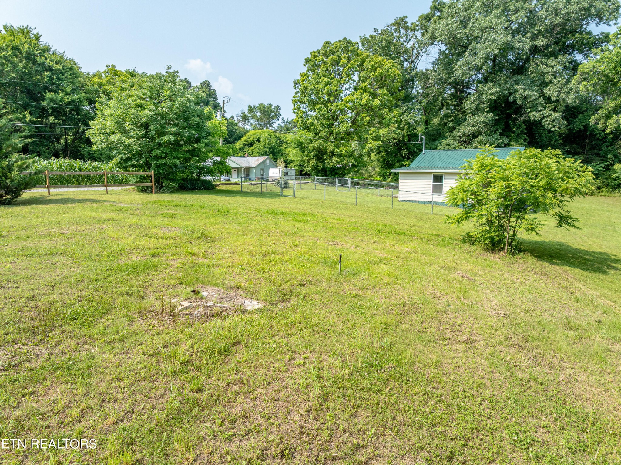 460 Lee Shirley Road Greenback, TN 37742 - Photo 26 of 29 a view of a big yard with large trees
