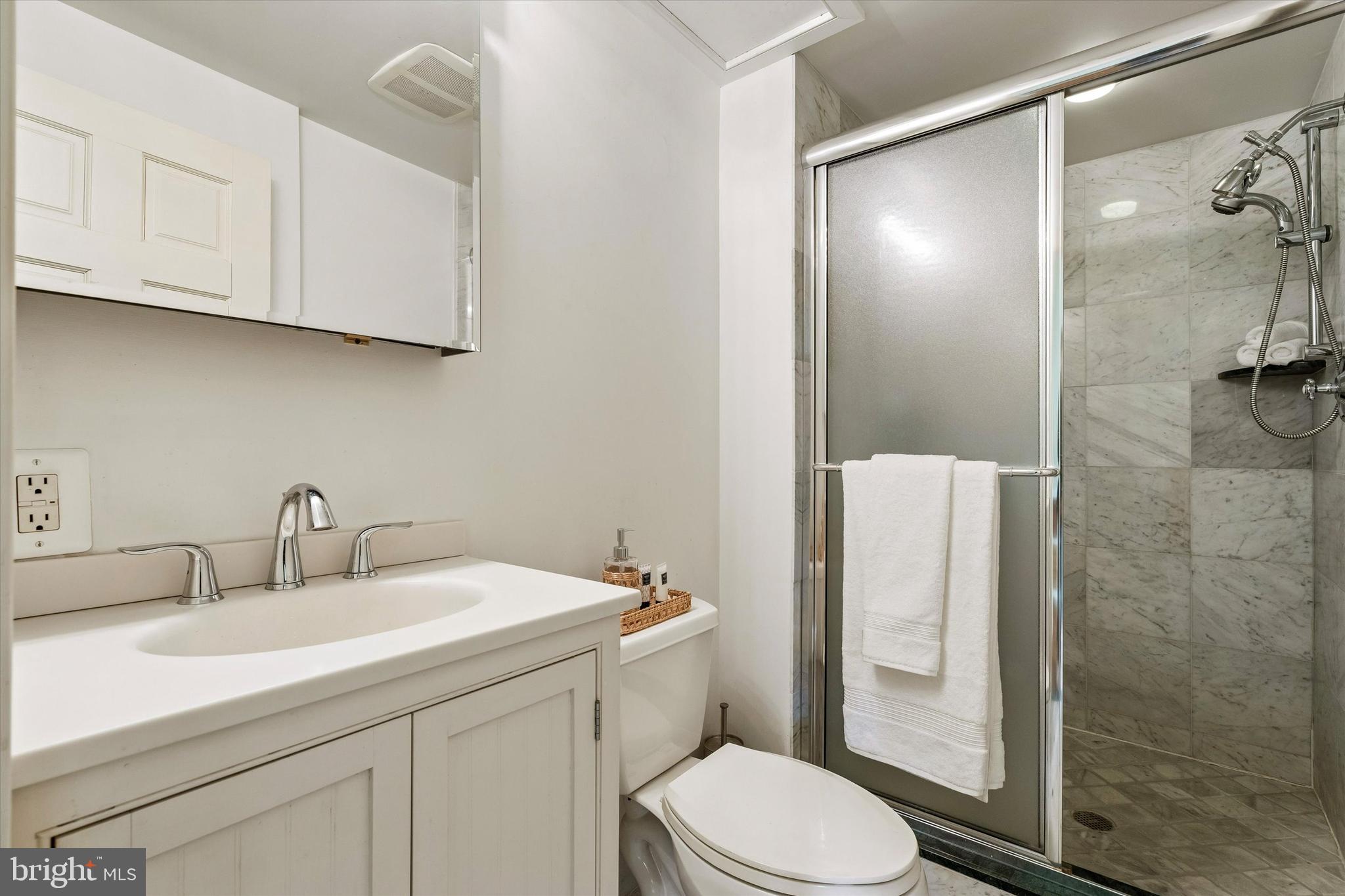 519 Pine Street Philadelphia, PA 19106 - Photo 37 of 42 Full Bath