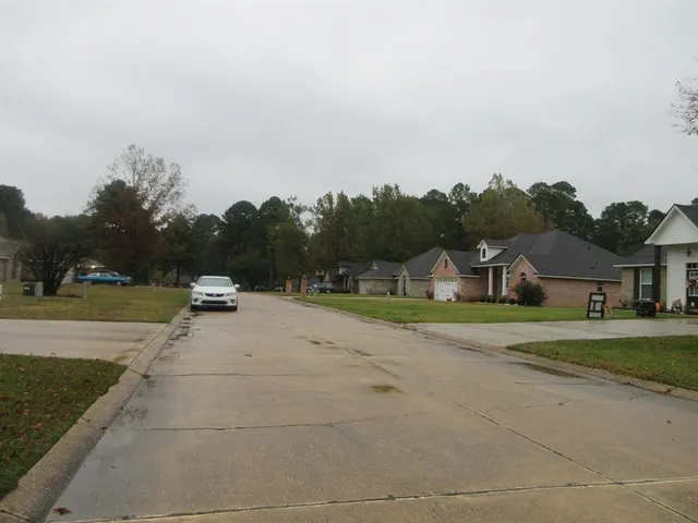 a view of a park with large trees