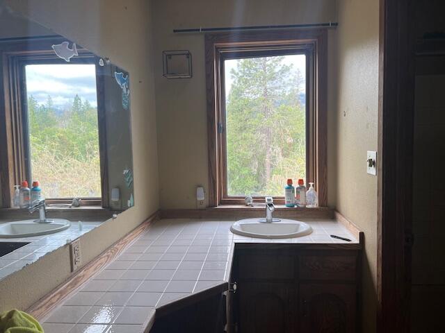 4196 East Evans Creek Road Rogue River, OR 97537 - Photo 19 of 36 a bathroom with a sink and a bathtub