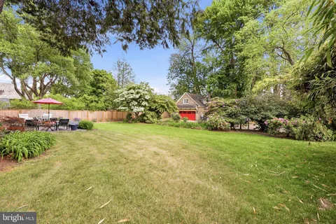 a view of a garden with plants and large trees