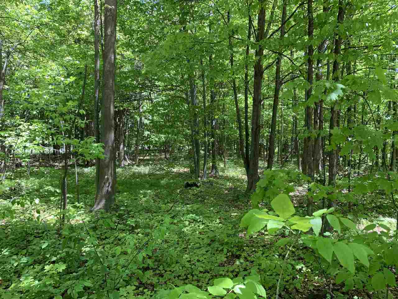 4.05 West Baseline Road Hart, MI 49420 - Photo 2 of 6