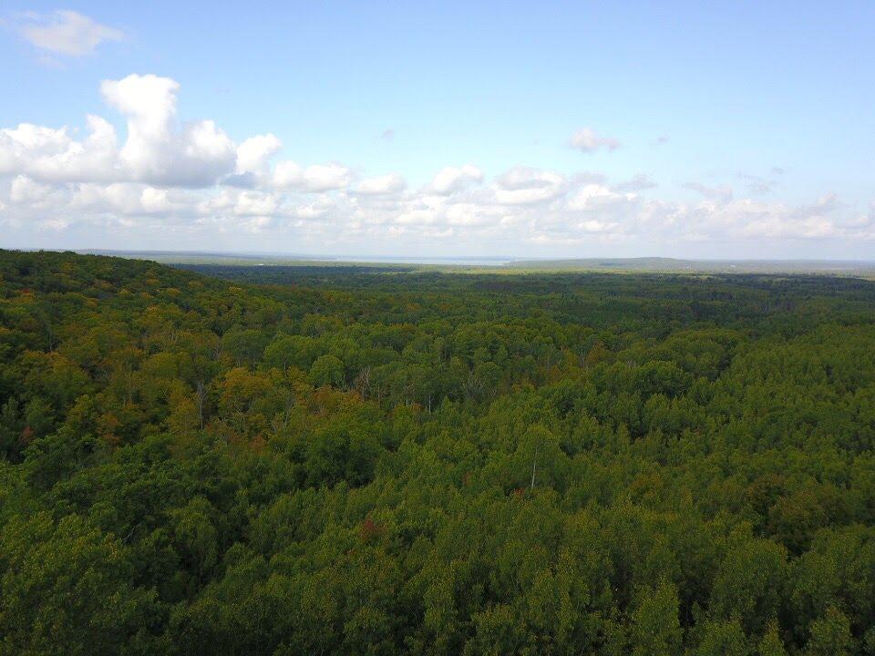 7100 Adams Road Wolverine, MI 49799 - Photo 45 of 48 Gallery Image 45