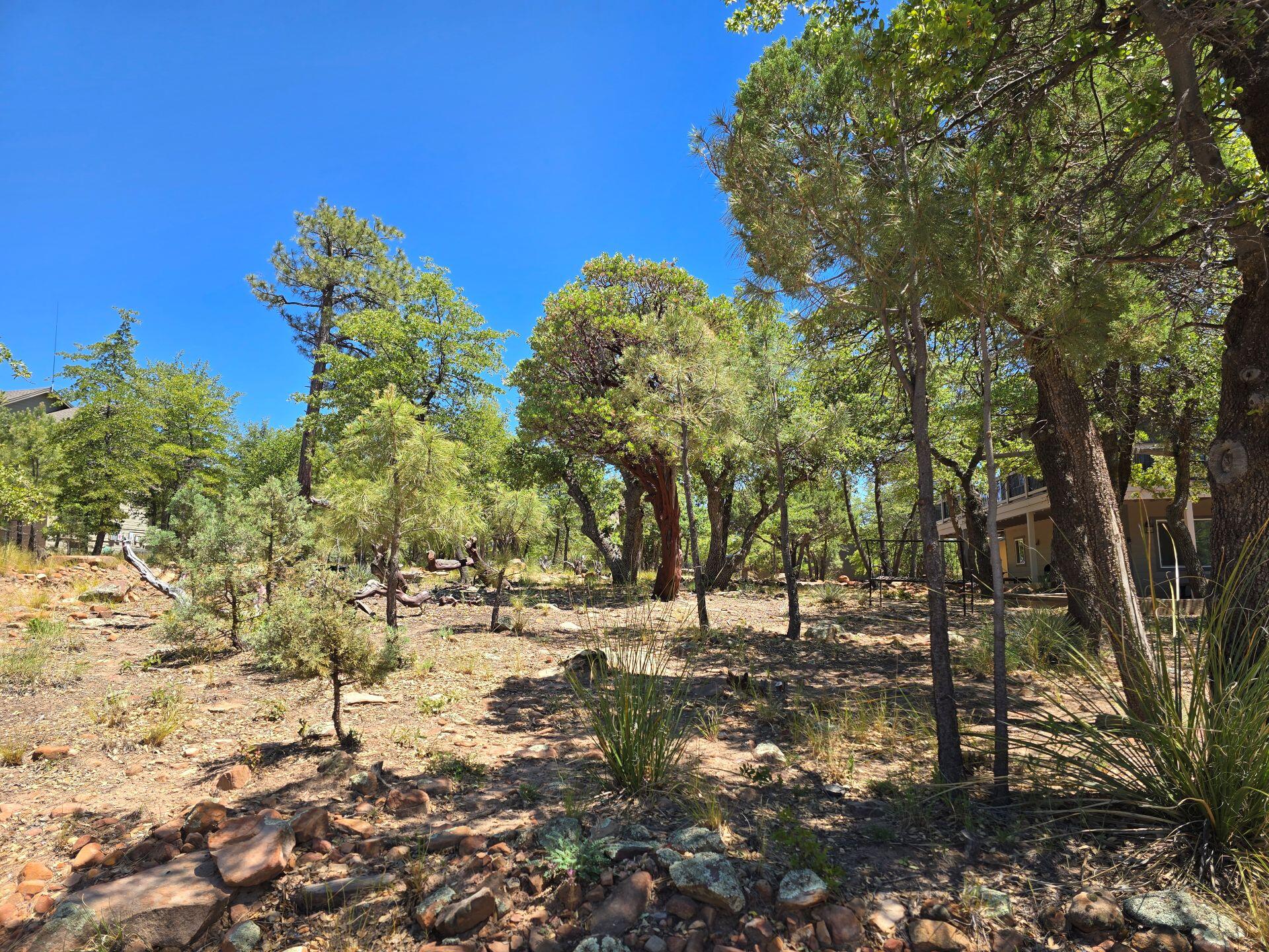 240 Rockinghorse Bend Road Payson, AZ 85541 - Photo 50 of 53 a view of a yard with plants and trees