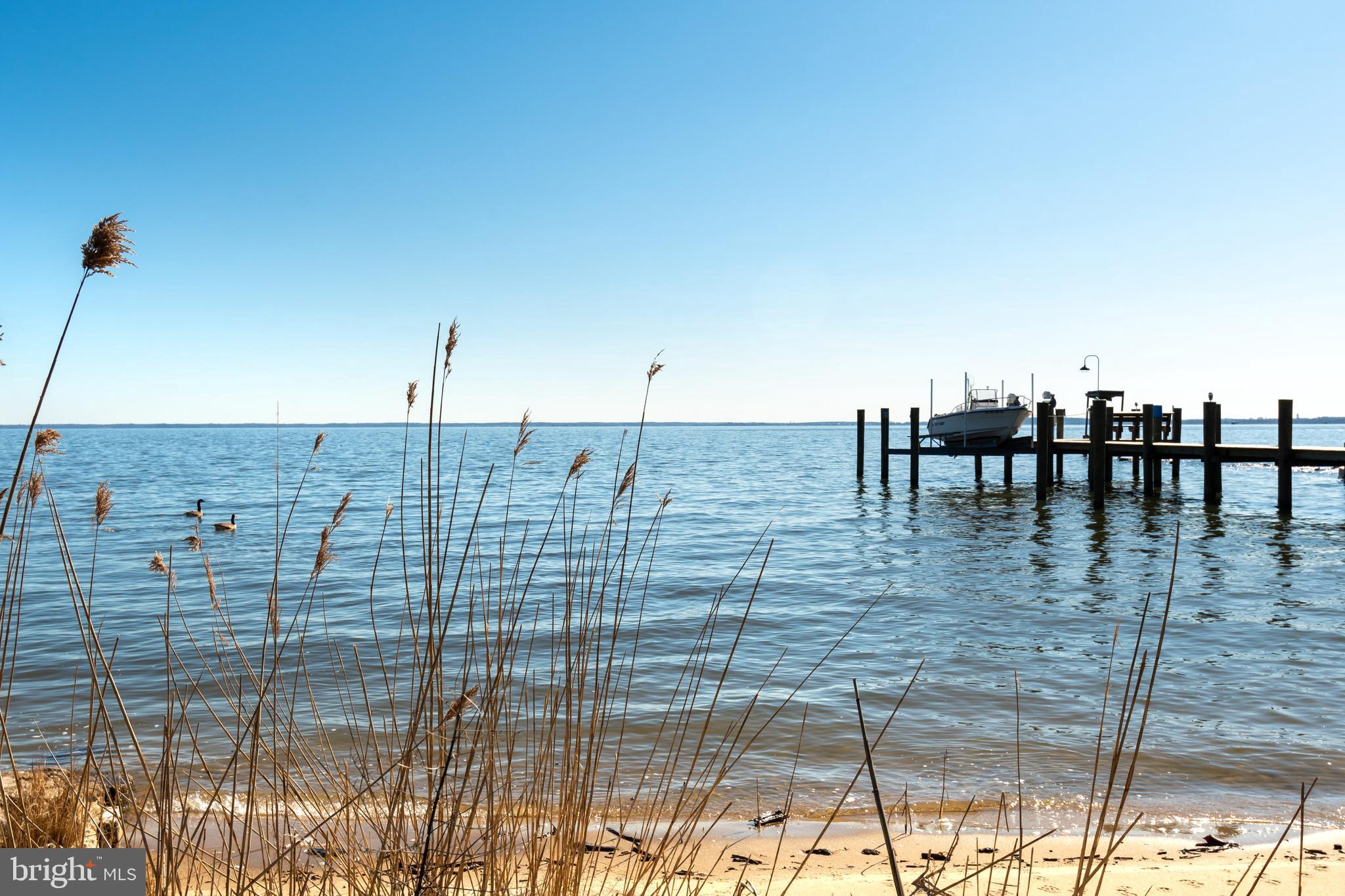 221 Riverview Road Stevensville, MD 21666 - Photo 38 of 39 Beautiful