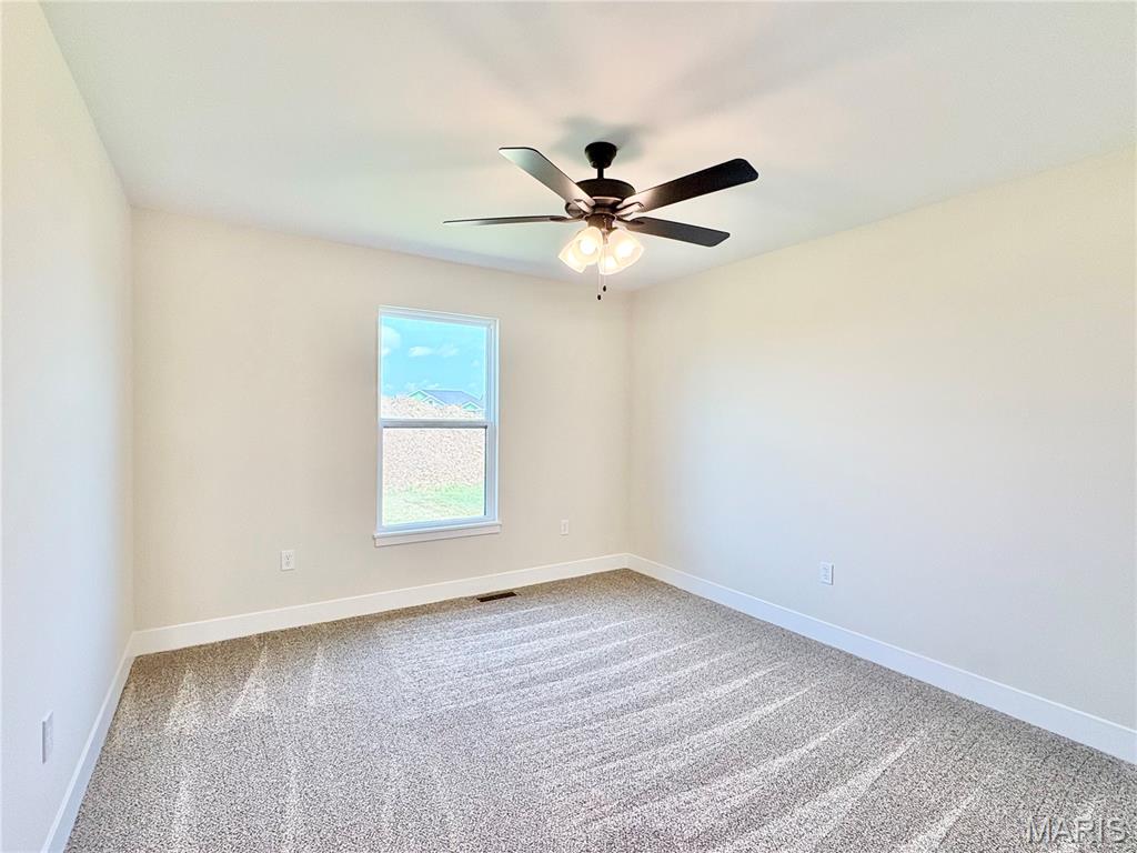 304 Rumsfeld Drive Troy, IL 62294 - Photo 45 of 99 Gallery Image 45