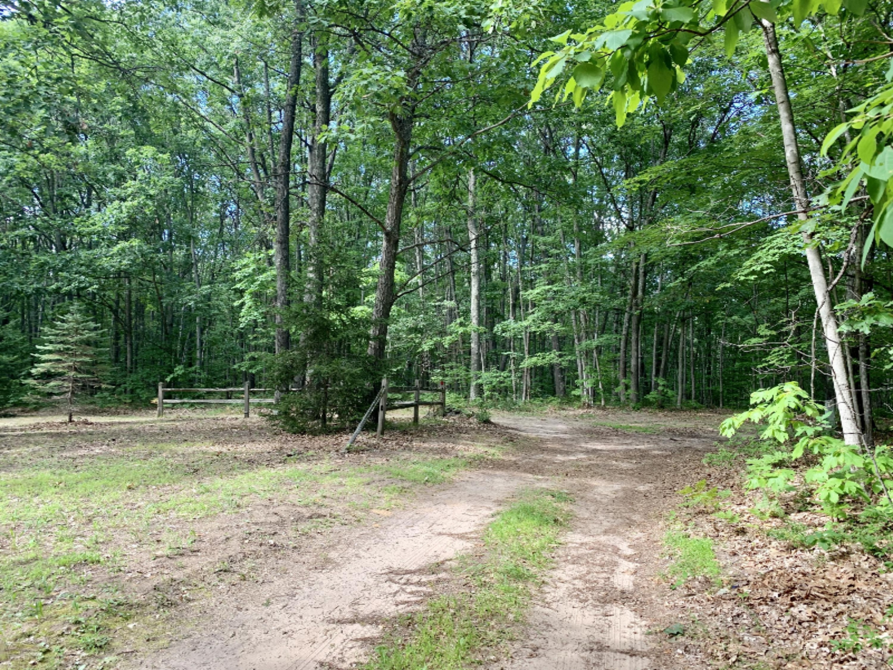 6589 Sherman Road Fountain, MI 49410 - Photo 21 of 31 Nicely Wooded
