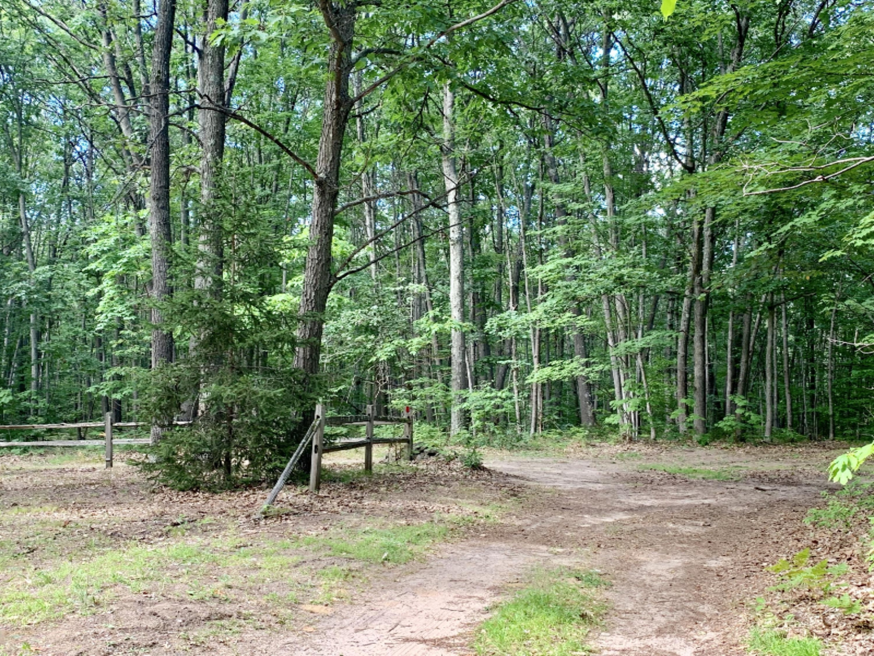 6589 Sherman Road Fountain, MI 49410 - Photo 22 of 31 Corner Lot